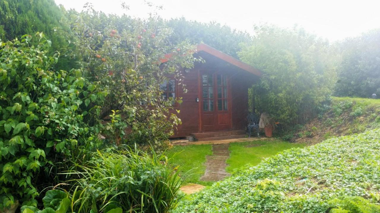 Bridge Farm Guesthouse Rooms Dundry Extérieur photo